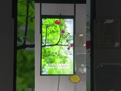 หน้าต่างแสดงผล