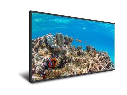 5000cd/m2 55" IPS Sunlight Readable LCD Monitor Wall Mounted Lcd Display 240W